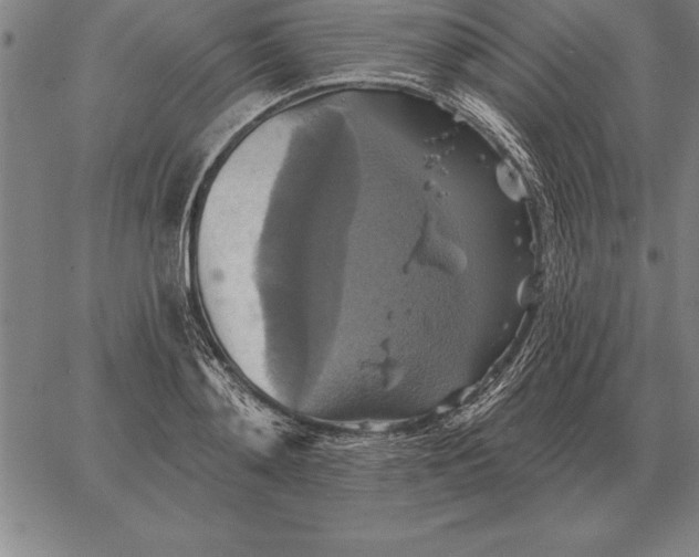 X0000067350892200604131748