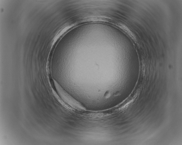 X0000067350893200604131748