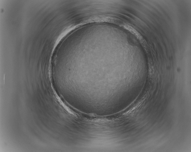 X0000067350894200604131748