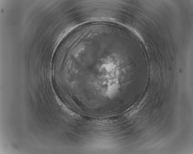 X0000067350895200604131748