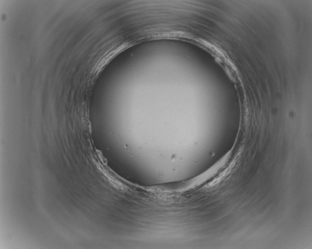 X0000067350897200604131748