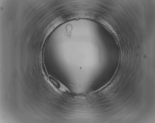 X0000067350898200604131748