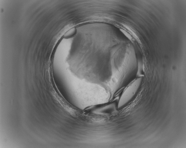 X0000067350899200604131748