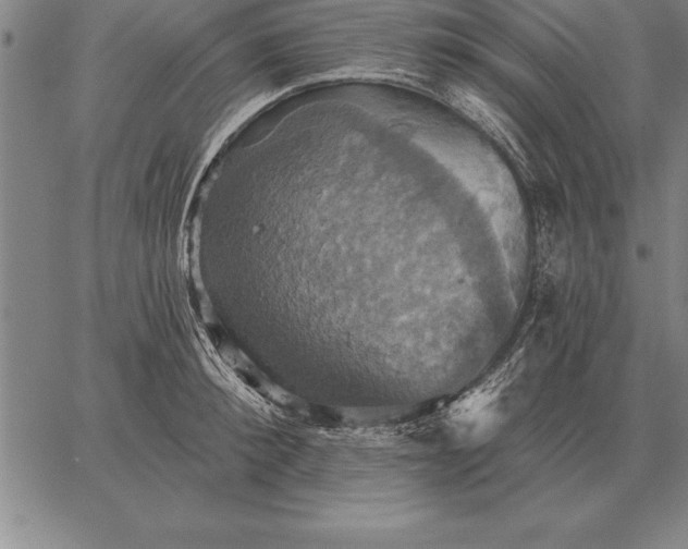 X0000067350900200604131748