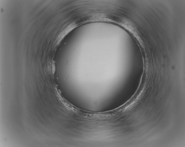 X0000067350905200604131747