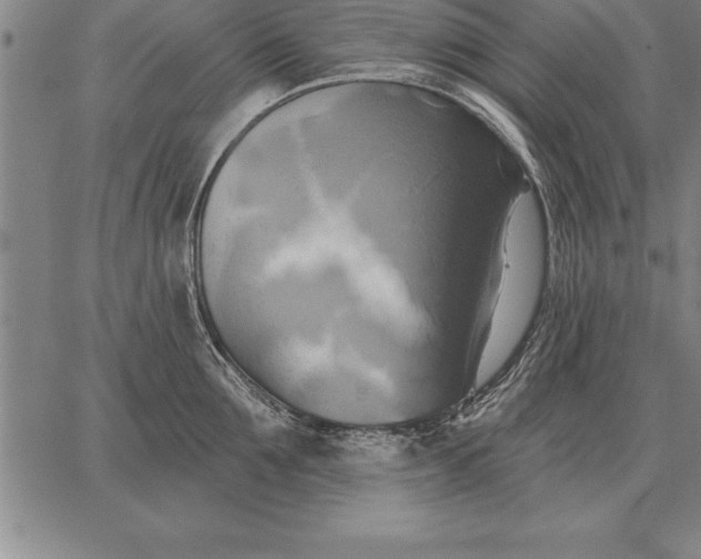 X0000067350907200604131747