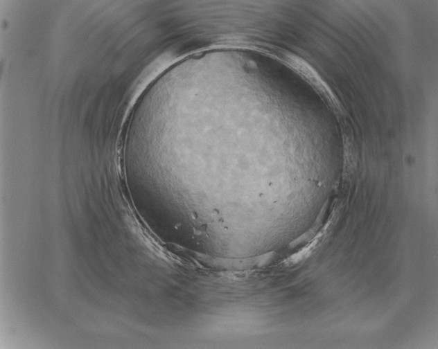 X0000067350908200604131747