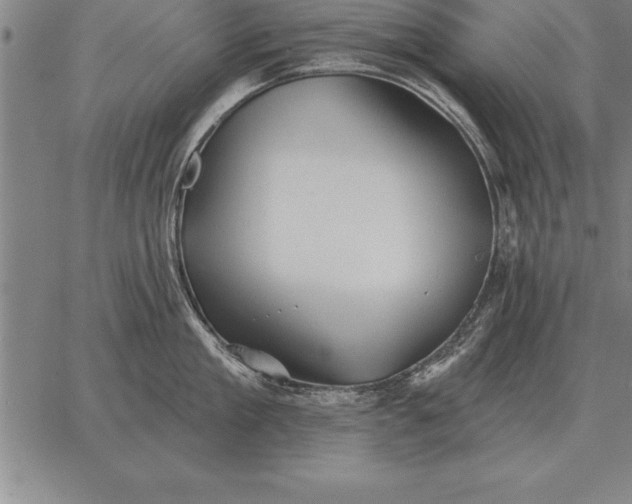 X0000067350909200604131747