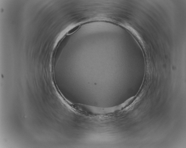 X0000067350910200604131747