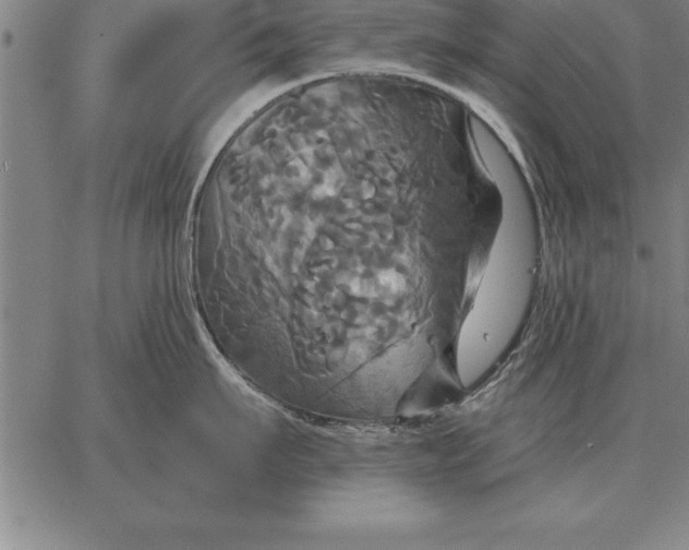 X0000067350911200604131747