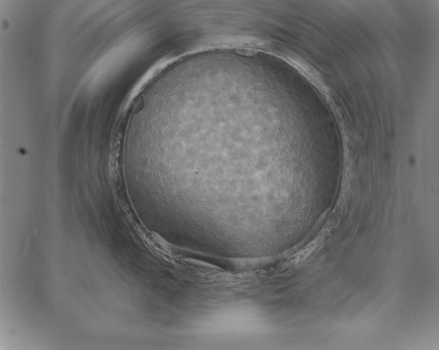 X0000067350912200604131747