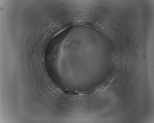 X0000067350913200604131747