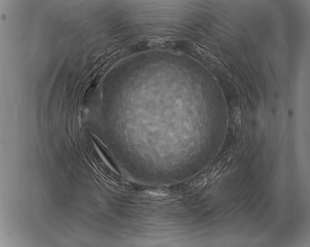 X0000067350914200604131747