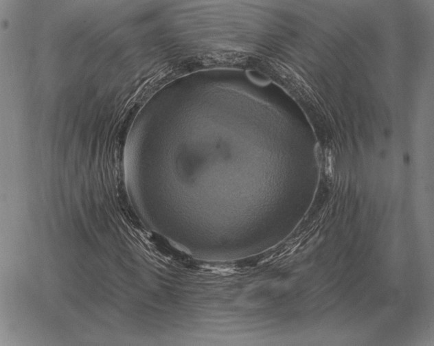 X0000067350915200604131747