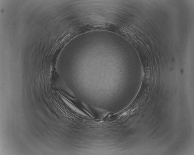 X0000067350916200604131747