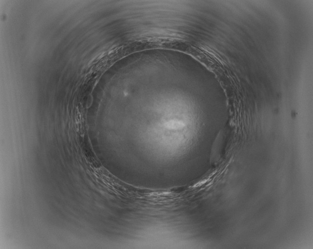 X0000067350917200604131747