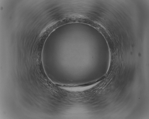 X0000067350919200604131747