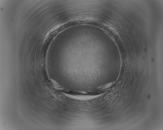 X0000067350920200604131747