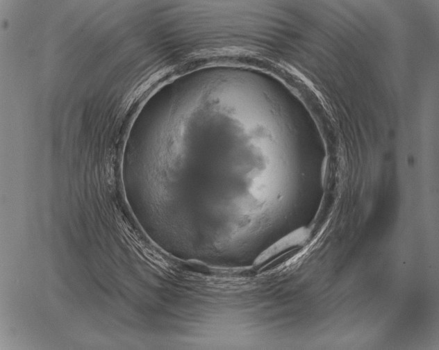 X0000067350921200604131747