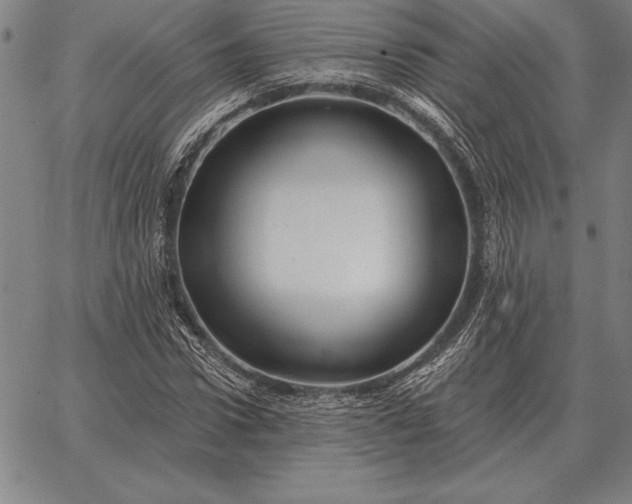 X0000067350922200604131747