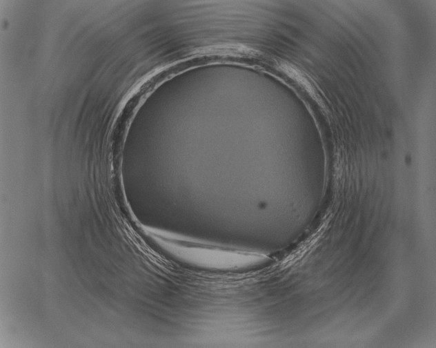 X0000067350923200604131747