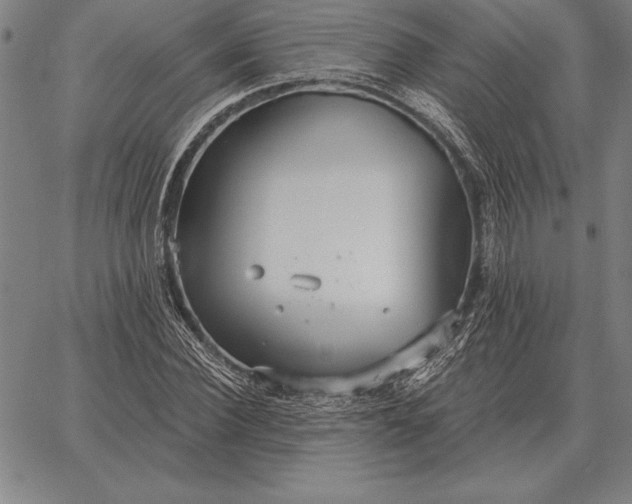 X0000067350924200604131747