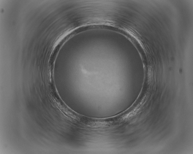 X0000067350925200604131747