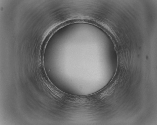 X0000067350927200604131747