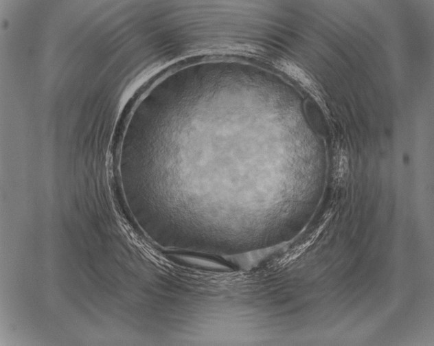 X0000067350928200604131747