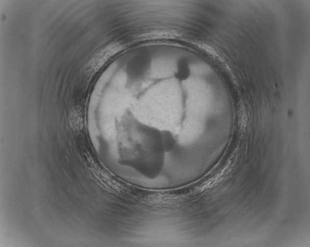 X0000067350929200604131747