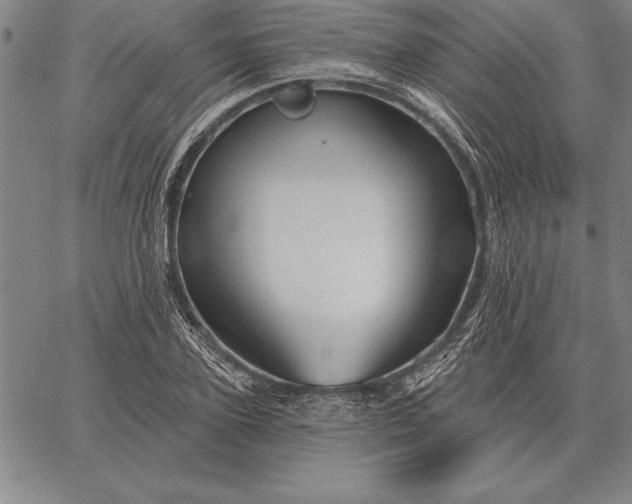 X0000067350931200604131747