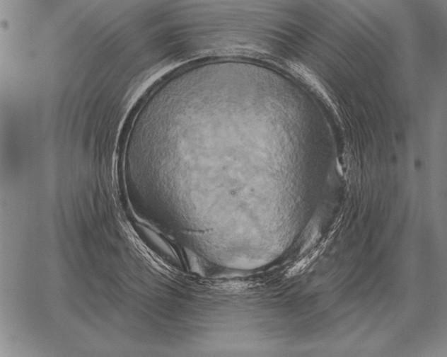 X0000067350932200604131747