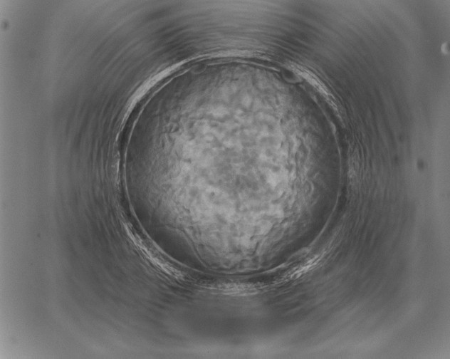 X0000067350933200604131747