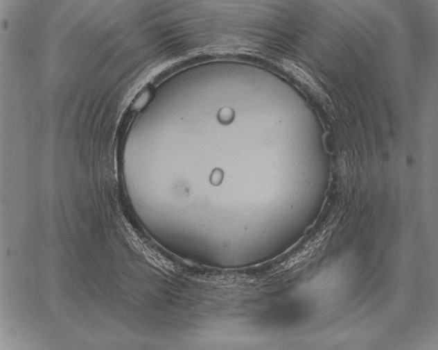 X0000067350934200604131747