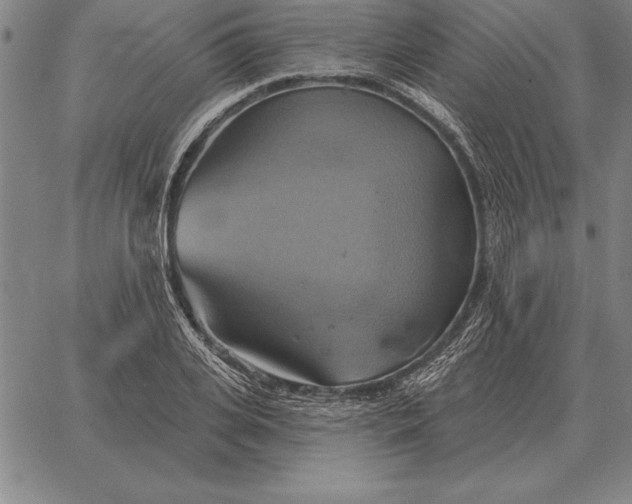 X0000067350935200604131747