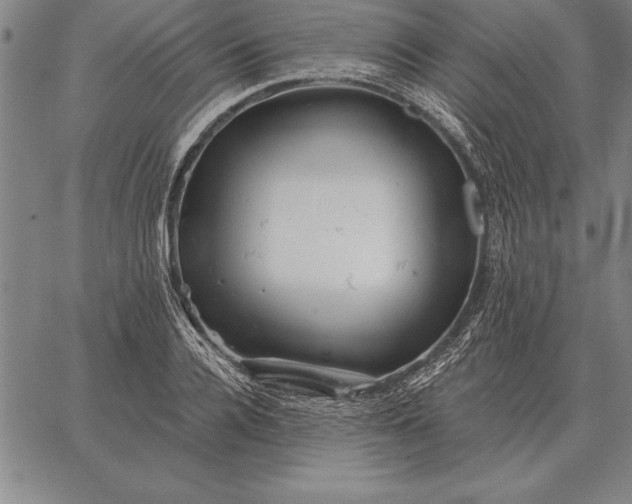 X0000067350936200604131747