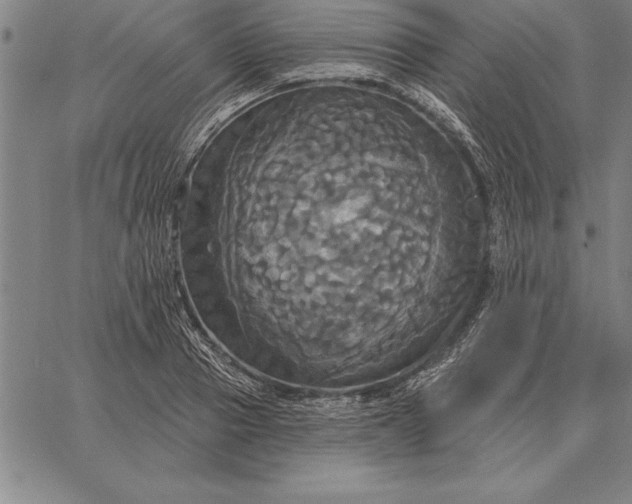 X0000067350937200604131747