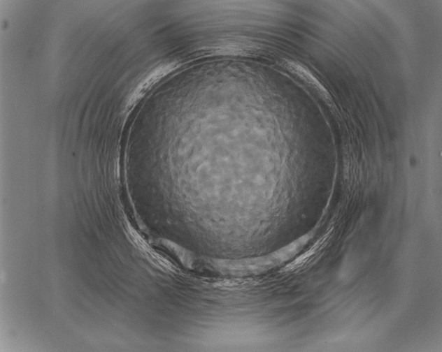 X0000067350938200604131747