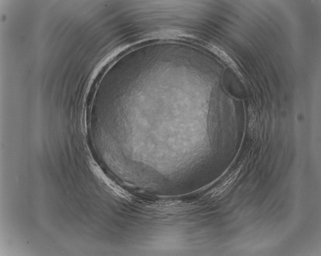 X0000067350939200604131747