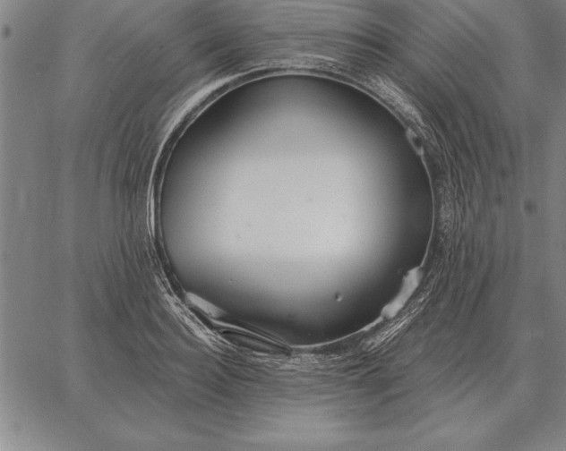 X0000067350940200604131747