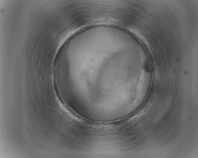 X0000067350941200604131747