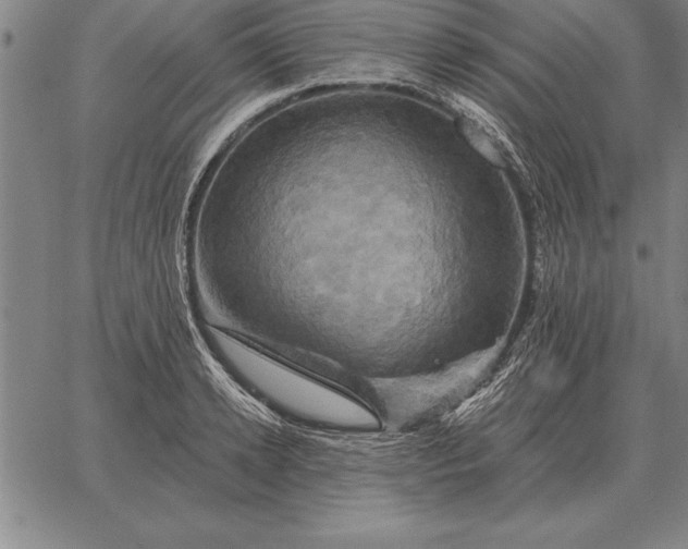 X0000067350942200604131747