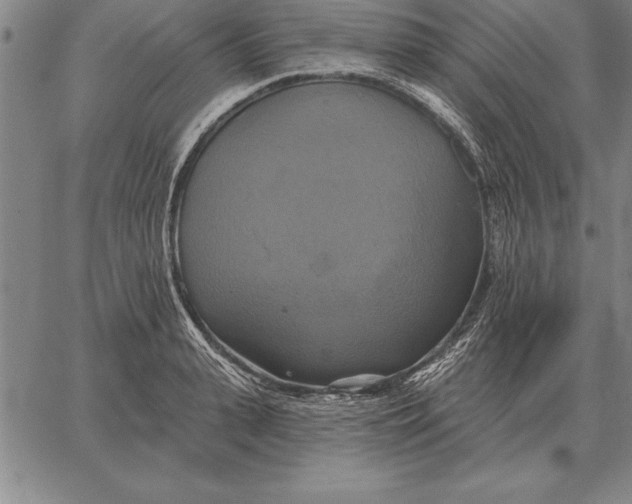 X0000067350943200604131747