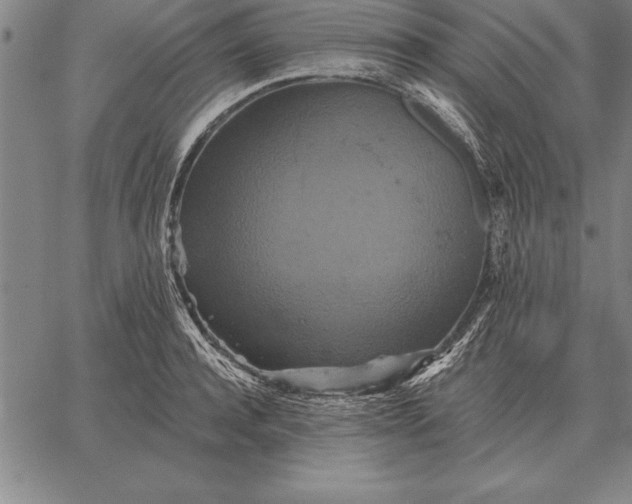 X0000067350944200604131747