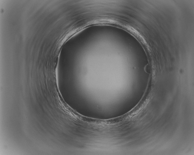 X0000067350945200604131747