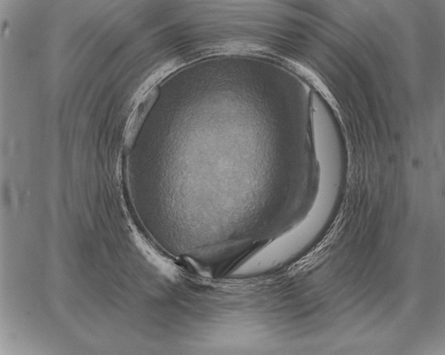 X0000067350946200604131747