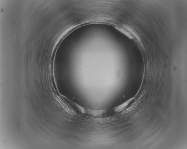 X0000067350948200604131747