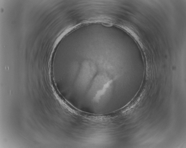 X0000067350949200604131747