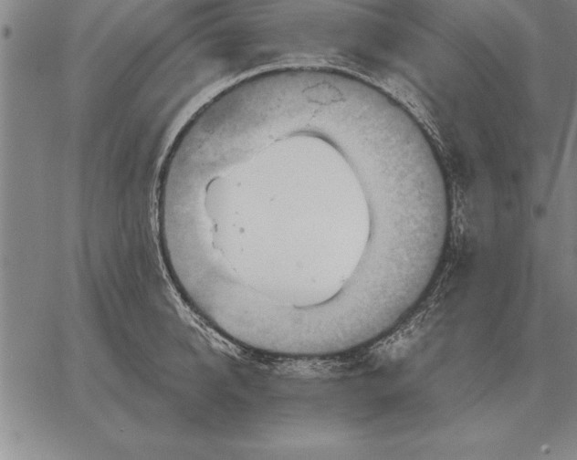 X0000067350950200604131747