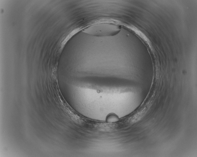 X0000067350953200604131747